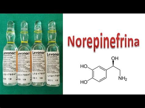 norepinefrina para que sirve - penicilina para que sirve
